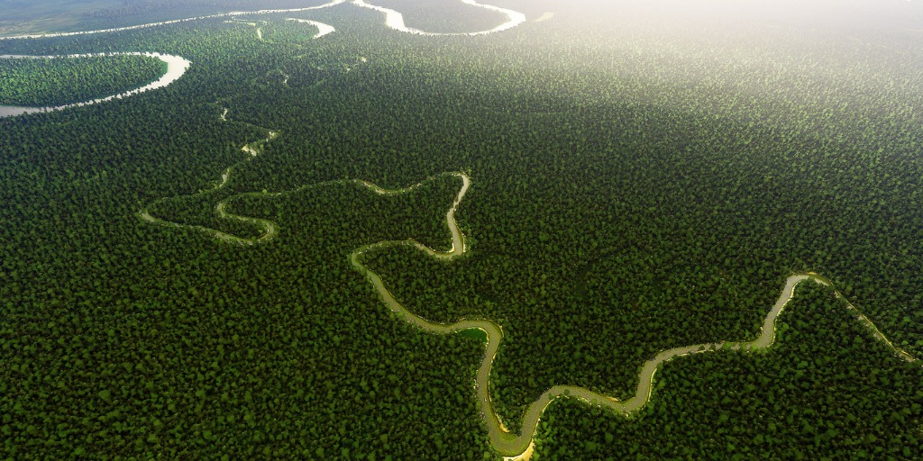 Imagen aérea del Amazonas