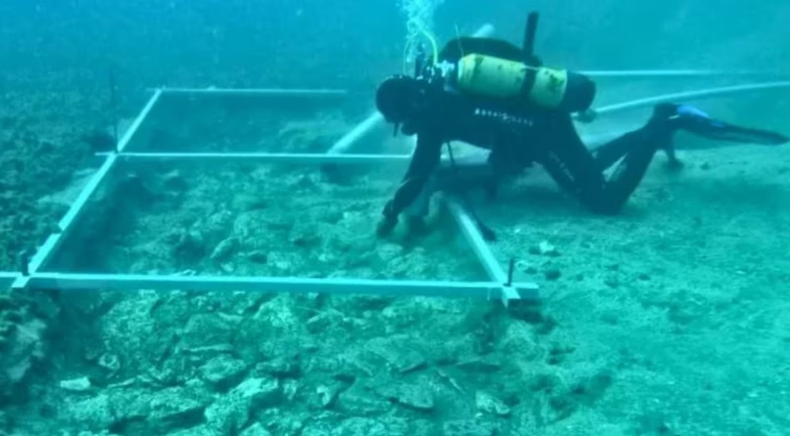 Un buzo trabaja en la misión arqueológica bajo las aguas del mar Mediterráneo.