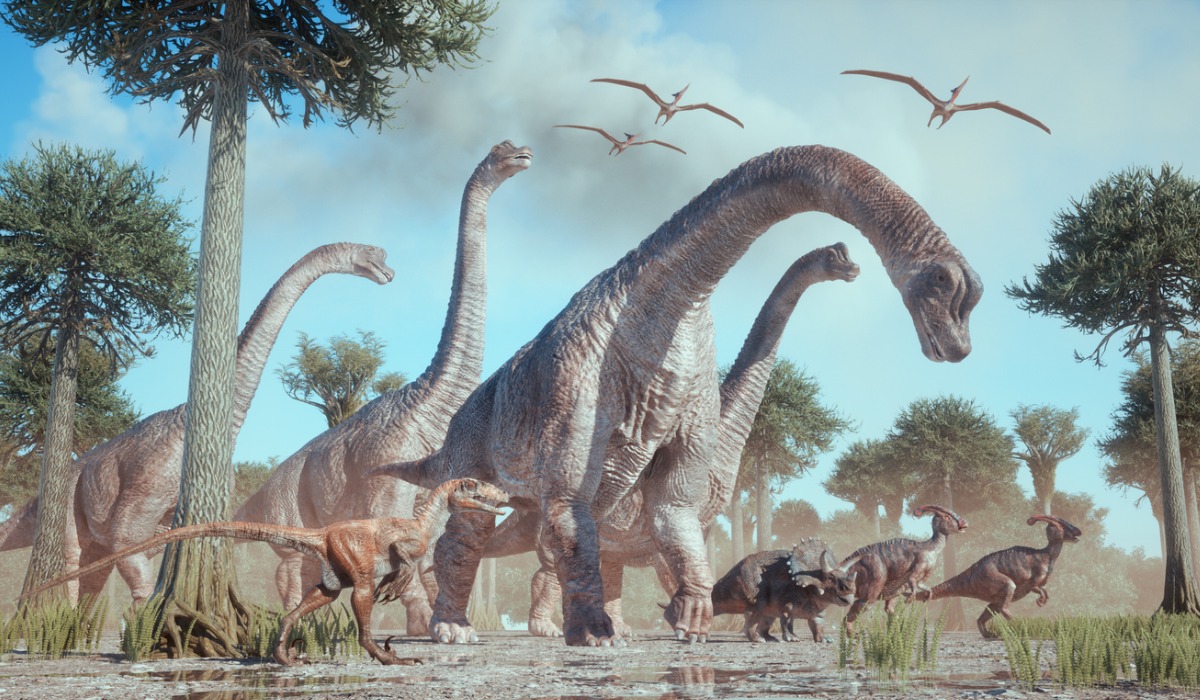 El hallazgo revela las estrategias reproductivas de los titanosaurios justo antes de su extinción.