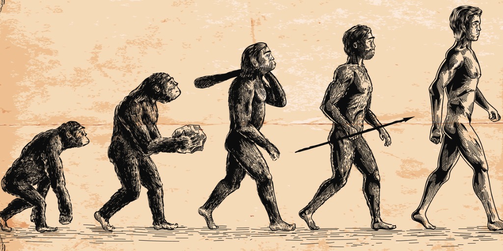 Ilustración de la evolución humana.