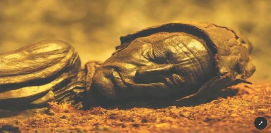 La momia tenía unos 2300 años de antigüedad y contaba 40 años cuando murió.