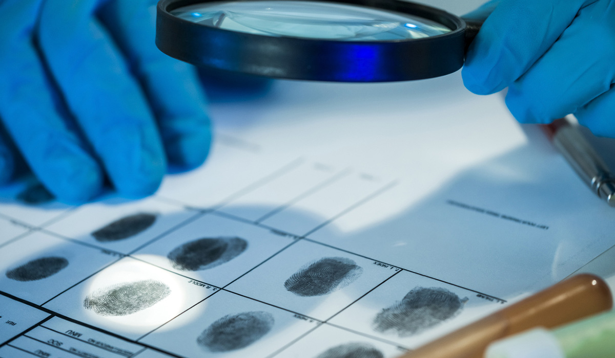 El estudio puede revolucionar la ciencia forense y la criminalística. 