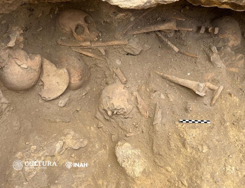 Imagen de algunos de los restos óseos encontrados en el interior de la tumba recién descubierta.