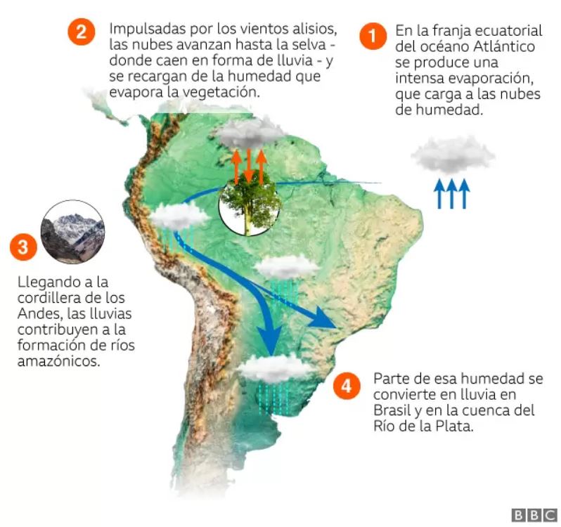 Así distribuye las lluvias en Sudamérica el Amazonas