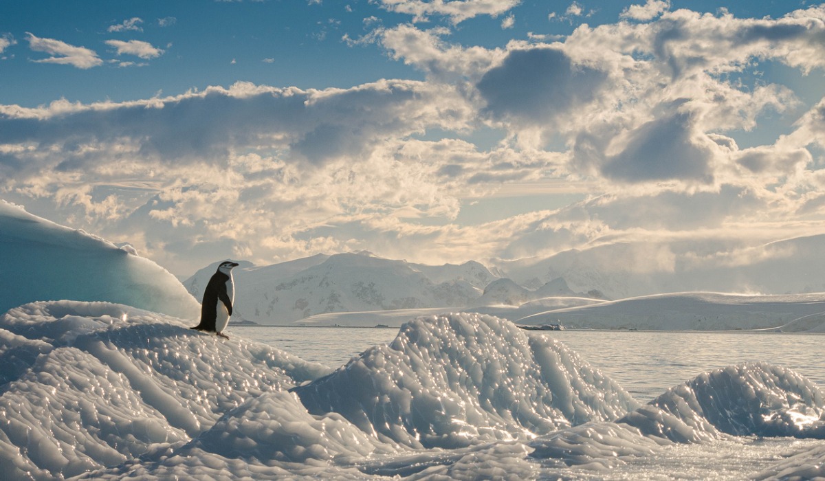 El estudio en la Antártida podría revelar detalles vinculados con la búsqueda de vida alienígena.