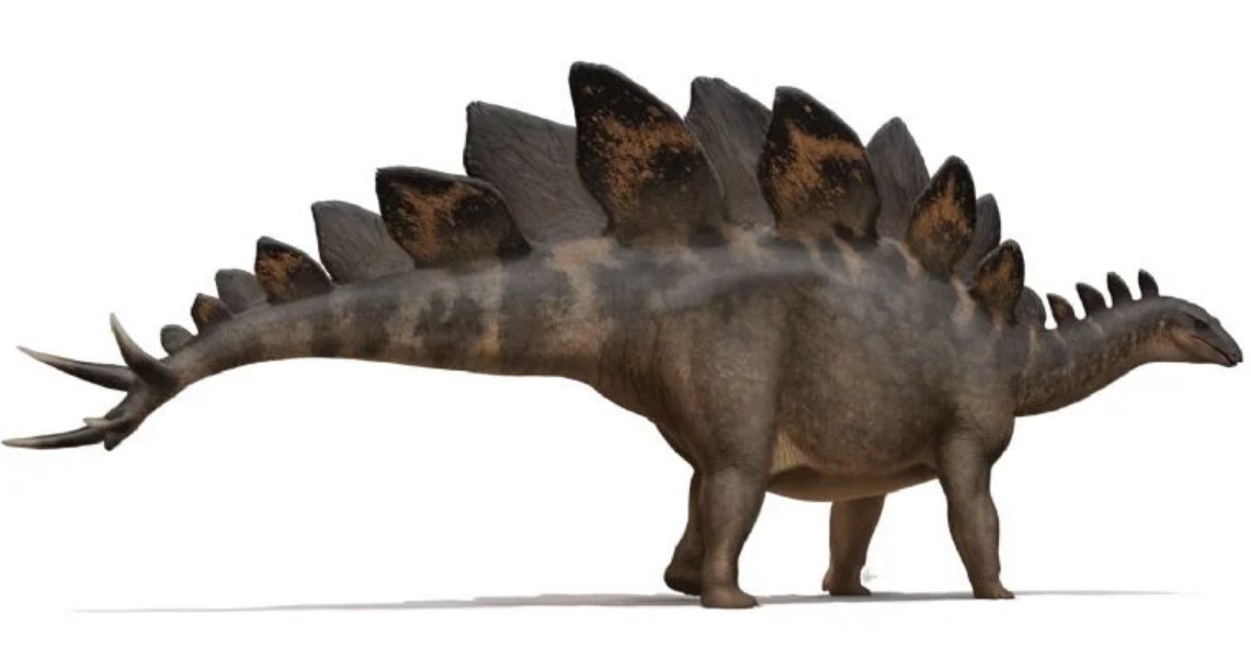 Modelo 3D de un dinosaurio Stegosaurus.