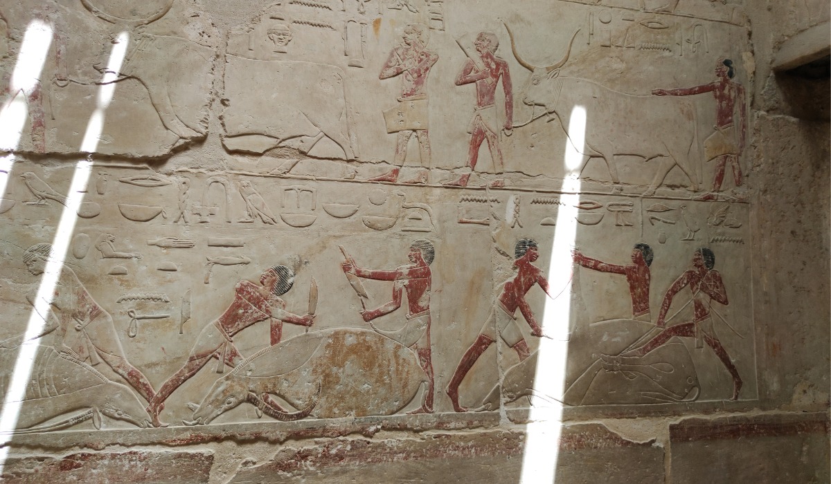 Las excavaciones tuvieron lugar en Saqqara, uno de los lugares de enterramiento más importantes del Antiguo Egipto.