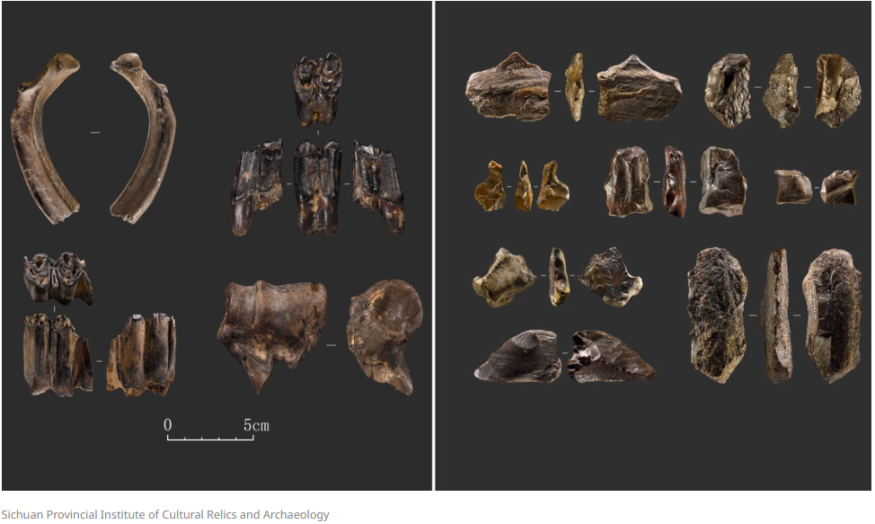 Se encontraron restos de animales como rinocerontes y elefantes, y artefactos tallados en hueso y madera.