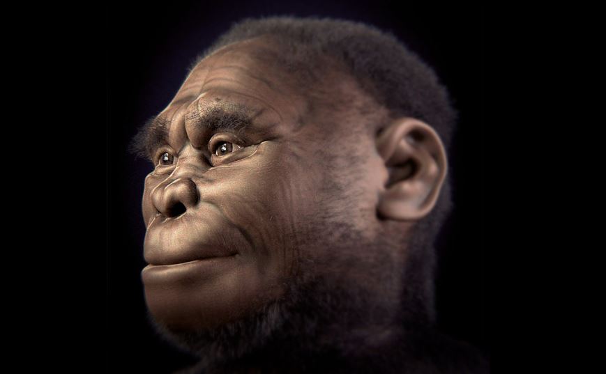 Reconstrucción del rostro de un Homo floresiensis.