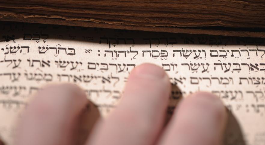 Histórico hallazgo: descubren un fragmento 'oculto' de la Biblia
