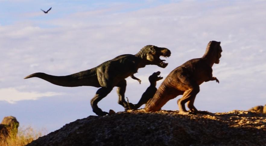 Científicos calculan cuántos T-Rex anduvieron sobre la Tierra