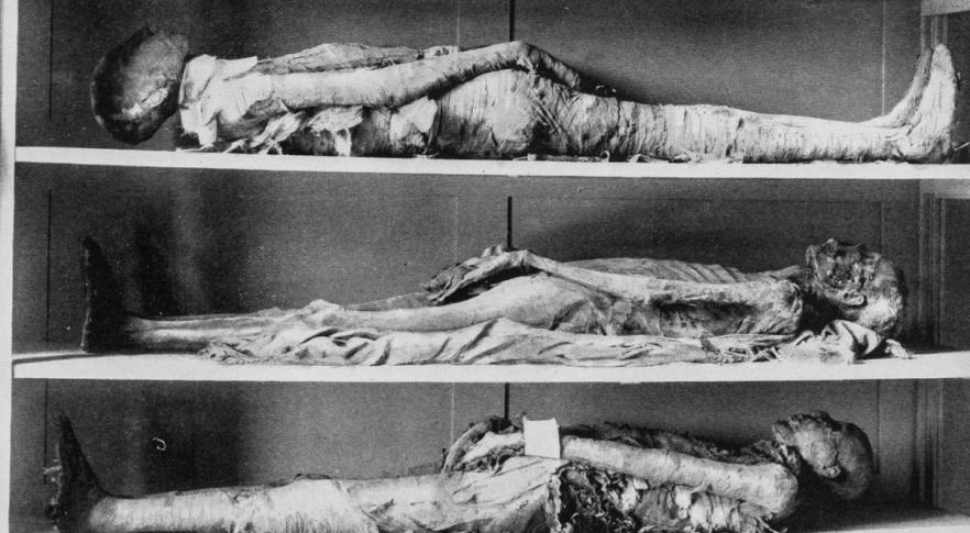 Los europeos comieron momias durante siglos para curar sus enfermedades