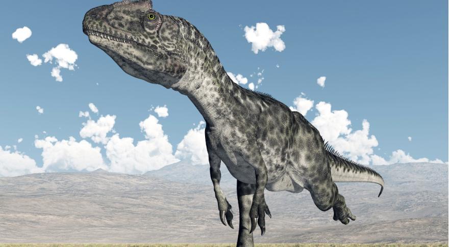 Identifican un dinosaurio carnívoro y de brazos cortos