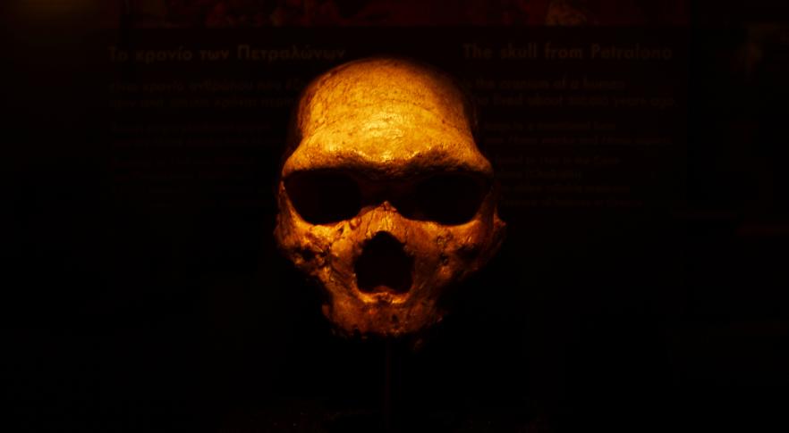 Los genes neandertales explicarían por qué algunas personas son madrugadoras