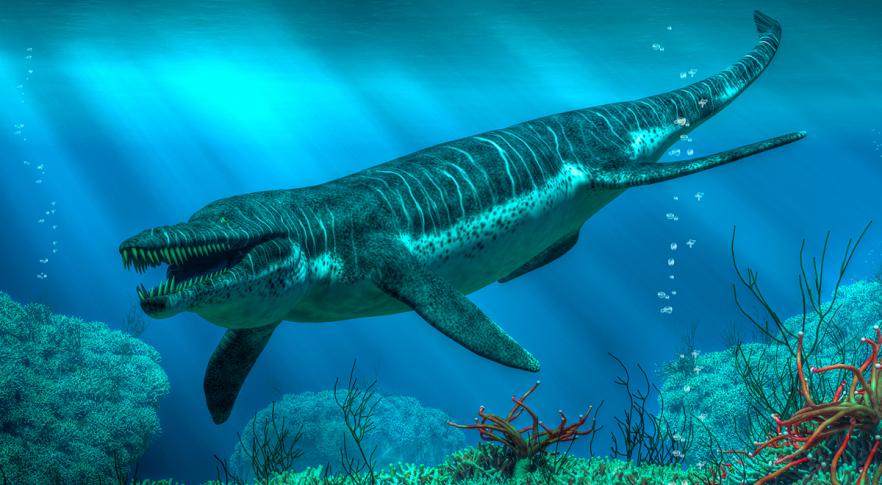 Revelan más detalles sobre el “Tiranosaurio Rex de los mares”