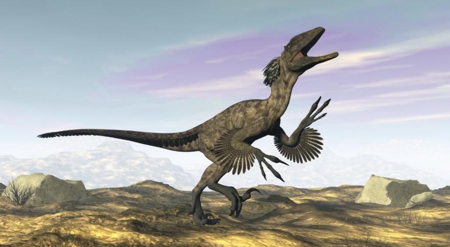 Descubren un dinosaurio con plumas que pesaba y media como un humano 
