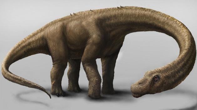 Descubren un nuevo tipo de dinosaurio gigante cuyo peso superaba al de siete tiranosaurios Rex-0