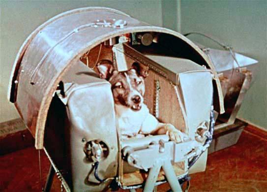 La perra Laika se convierte en el primer ser vivo lanzado al espacio-0
