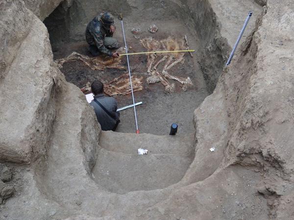 Encuentran esqueletos gigantes en una tumba milenaria-0