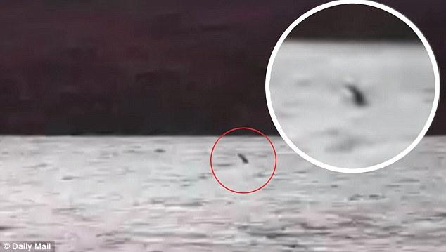 Inédito video habría logrado capturar las primeras imágenes de la mítica criatura del lago Ness-0