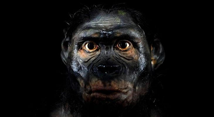 La inimaginable razón por la que los neandertales se extinguieron-0