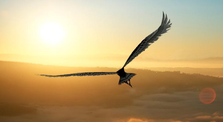 Un águila arroja desde el cielo a una criatura que se creía prácticamente extinta-0