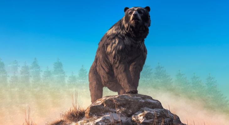 Hallan el cuerpo de un oso de 25 mil años en perfecto estado de preservación-0
