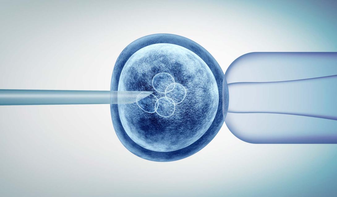  Primera transferencia de un embrión humano descongelado-0