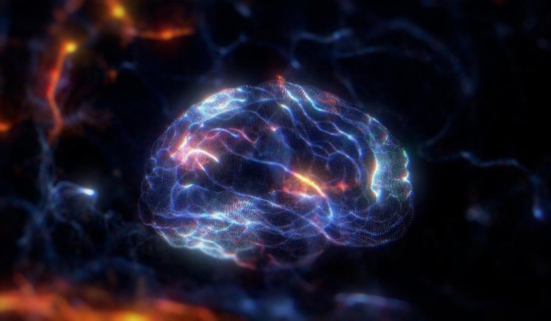 Cómo funciona el olvido en el cerebro, según Harvard-0