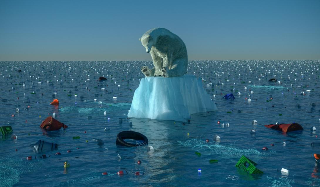 Cambio climático: osos polares hurgan en la basura por el hambre-0
