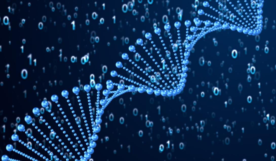 Todos tenemos un doble con el que compartimos ADN aunque no seamos parientes-0