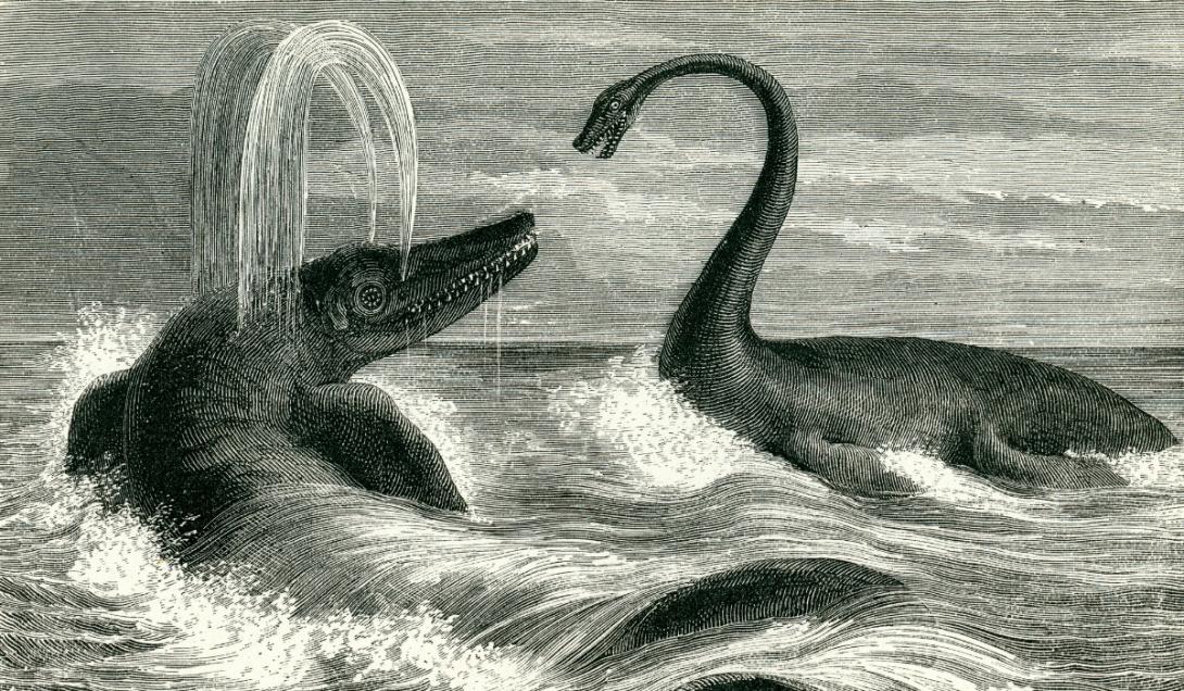 Descubren copias secretas del histórico fósil del 'pez lagarto' que destruyeron los nazis-0