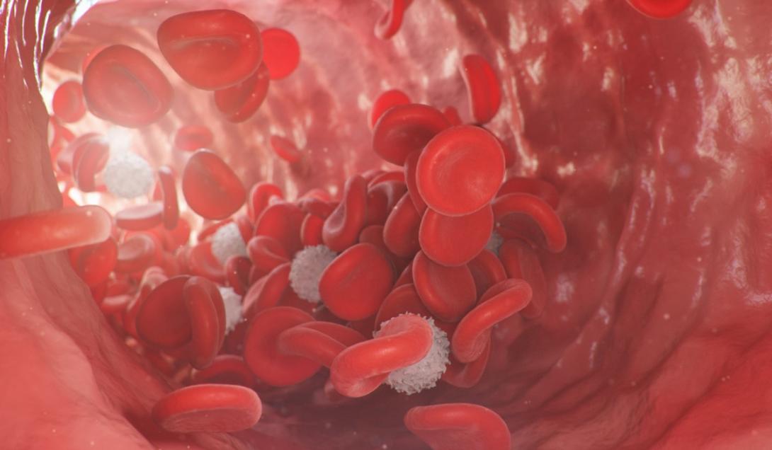 Alerta: descubren por primera vez microplásticos en los vasos sanguíneos humanos-0