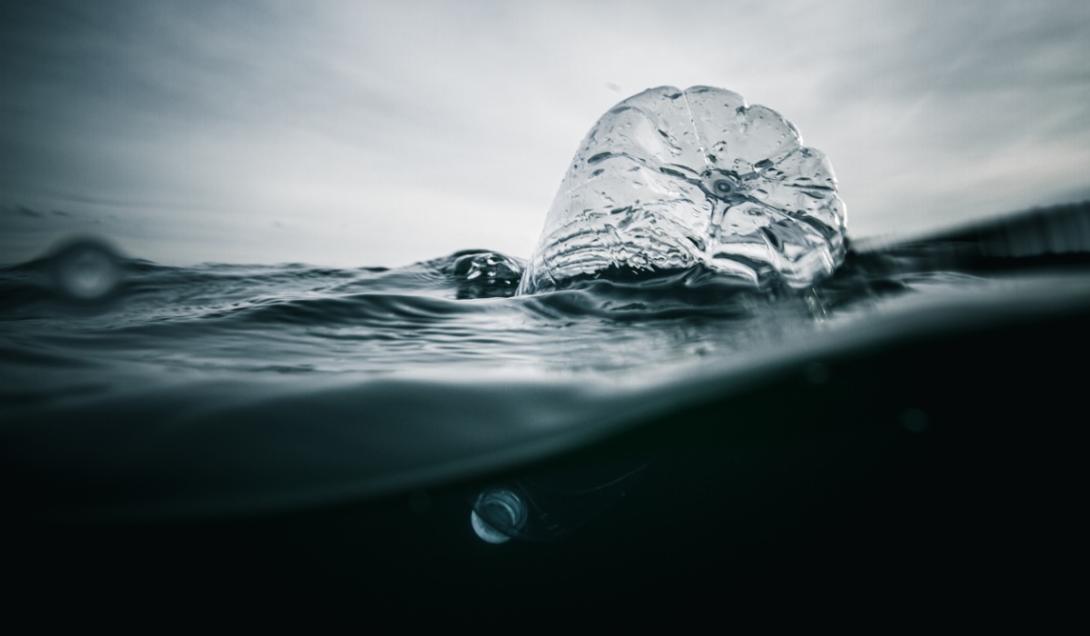 La contaminación plástica está generando un nuevo ecosistema en el océano-0
