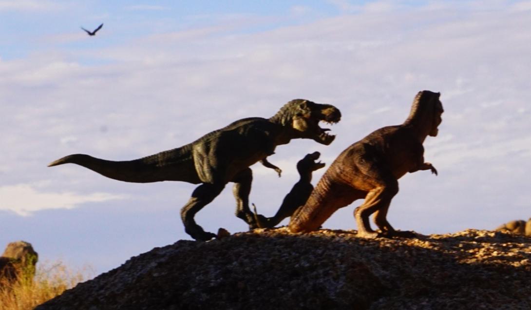 Científicos calculan cuántos T-Rex anduvieron sobre la Tierra-0