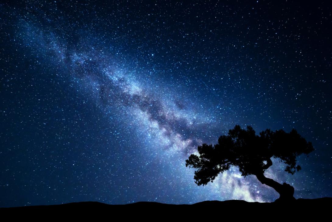 El increíble nacimiento de estrellas en una nebulosa cercana es captado por el James Webb (FOTO)-0